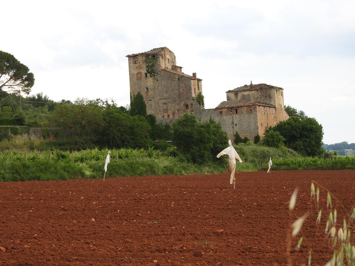 Relais Borgo Di Toiano Pension Sovicille Buitenkant foto